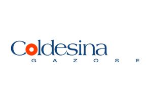 GSite web agency Ticino clienti Coldesina Gazose