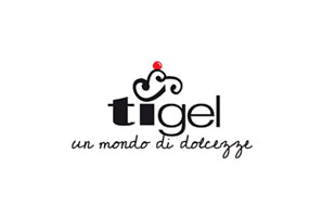 GSite web agency Lugano clienti Ti-Gel