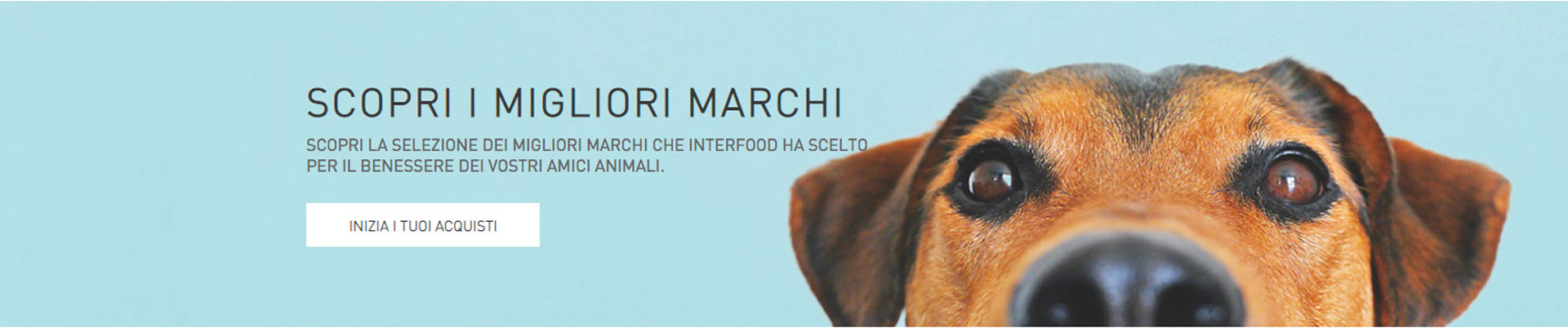 GSite Progetti Ecommerce Interfood banner promozionale