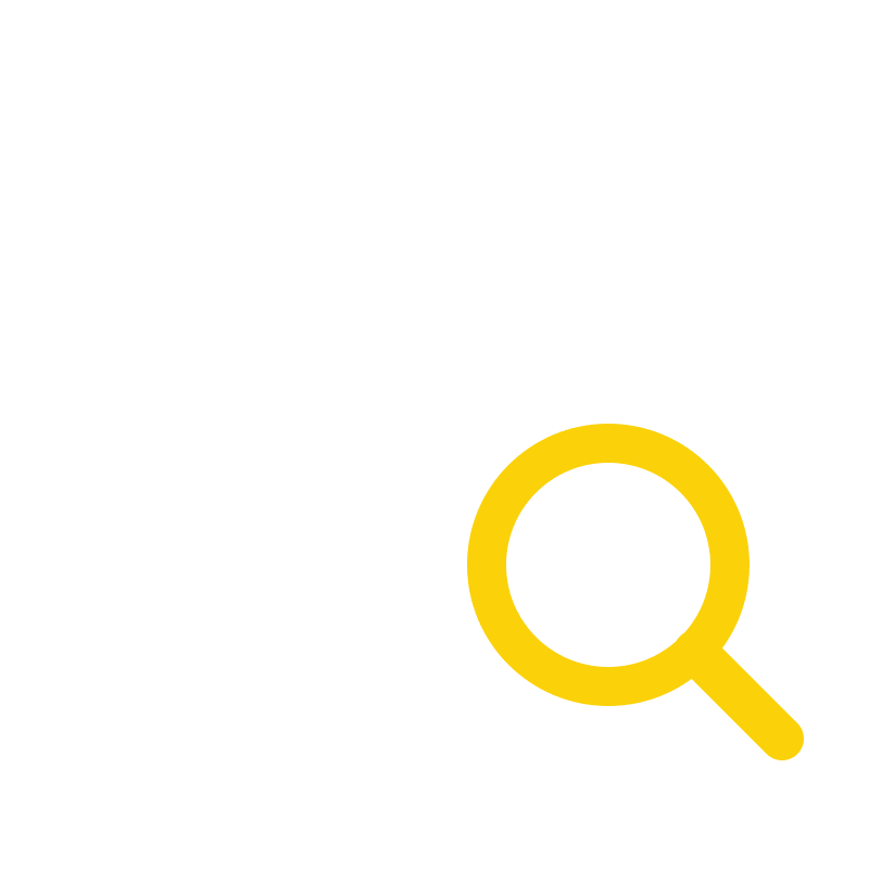 audit analisi